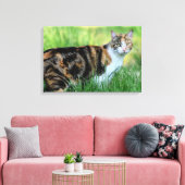 Bruine en witte kat canvas afdruk (Insitu (Woonkamer))