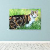 Bruine en witte kat canvas afdruk (Insitu (Houten vloer))