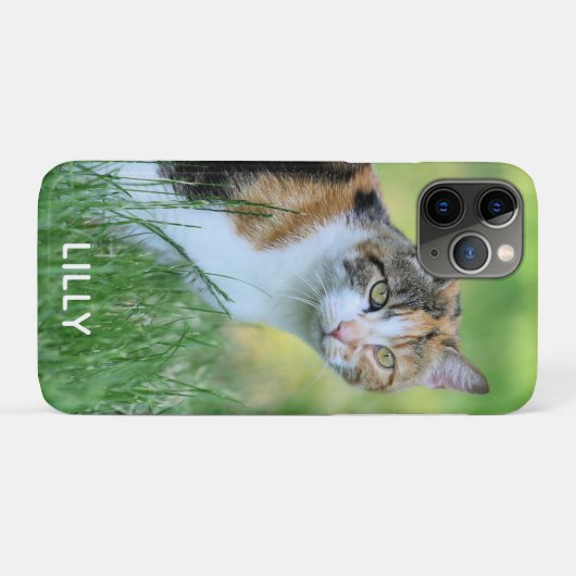 Bruine en witte kat Case-Mate iPhone case (Achterkant (horizontaal))