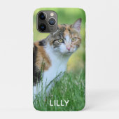 Bruine en witte kat Case-Mate iPhone case (Achterkant)