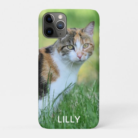 Bruine en witte kat Case-Mate iPhone case (Achterkant)