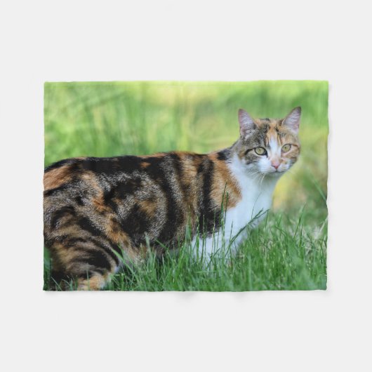 Bruine en witte kat fleece deken (Voorkant (Horizontaal))