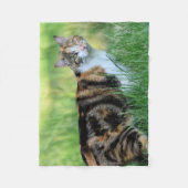 Bruine en witte kat fleece deken (Voorkant)