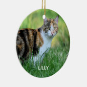 Bruine en witte kat keramisch ornament (Rechts)