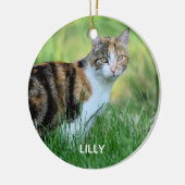 Bruine en witte kat keramisch ornament (Links)