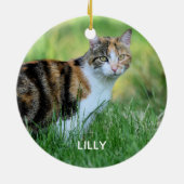 Bruine en witte kat keramisch ornament (Achterkant)