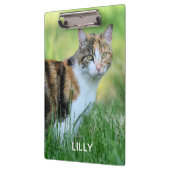 Bruine en witte kat klembord (Links)