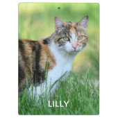 Bruine en witte kat klembord (Achterkant)