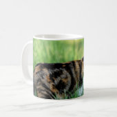Bruine en witte kat koffiemok (Voorkant links)