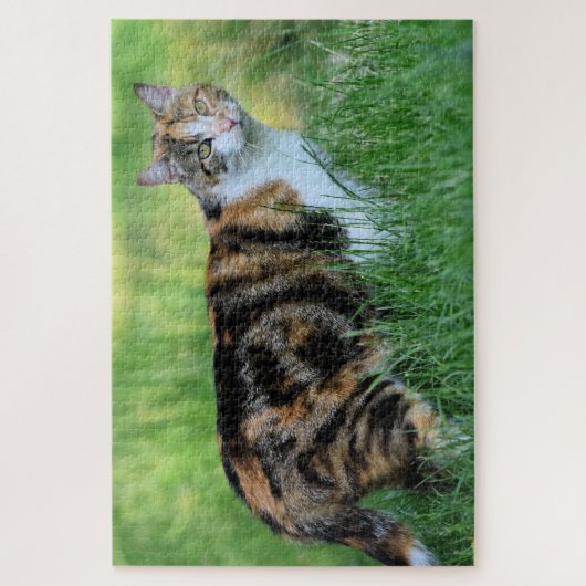 Bruine en witte kat legpuzzel (Verticaal)