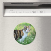 Bruine en witte kat magneet (Insitu (Vaatwasser))