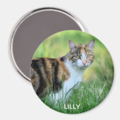 Bruine en witte kat magneet (Voorkant / Achterkant)