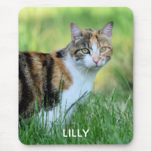 Bruine en witte kat muismat