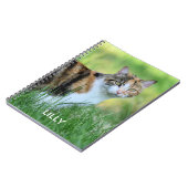 Bruine en witte kat notitieboek (Linkerzijde)