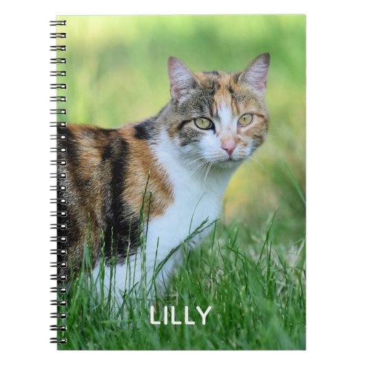 Bruine en witte kat notitieboek (Voorkant)