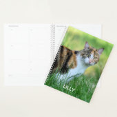 Bruine en witte kat planner (Display)
