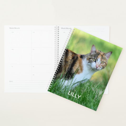 Bruine en witte kat planner (Display)