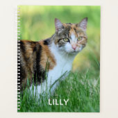 Bruine en witte kat planner (Voorkant)