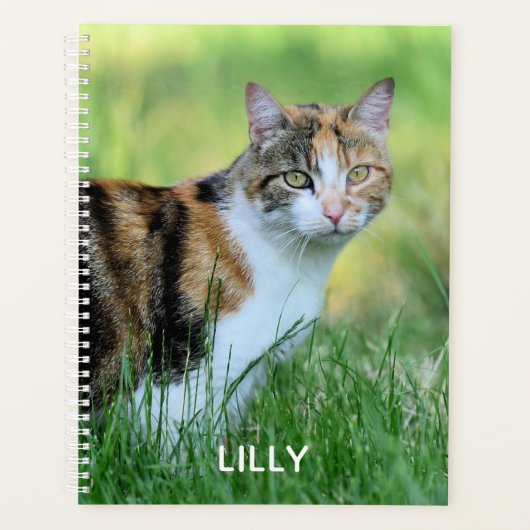 Bruine en witte kat planner (Voorkant)
