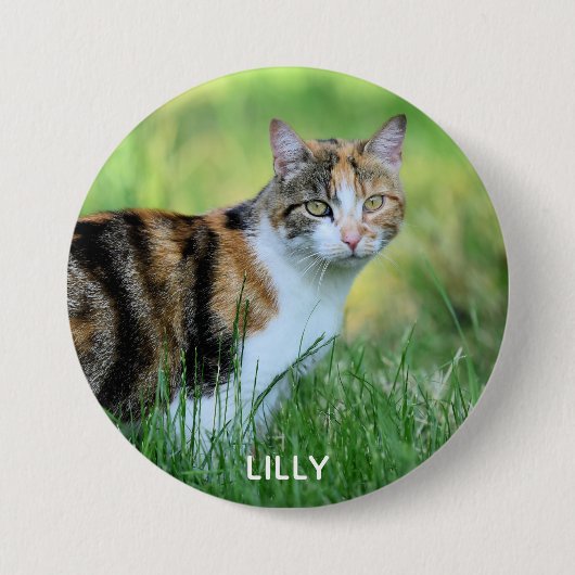 Bruine en witte kat ronde button 7,6 cm (Voorkant)