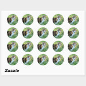 Bruine en witte kat ronde sticker (Vel)