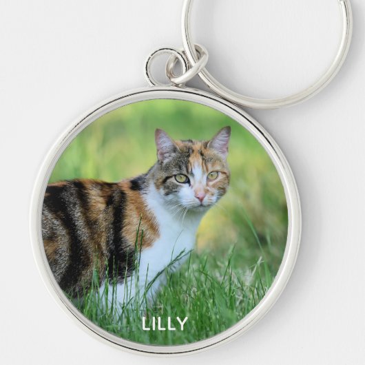 Bruine en witte kat sleutelhanger (Voorkant)