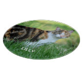Bruine en witte kat snijplank (Hoek)