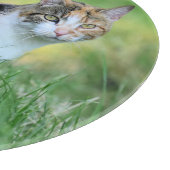 Bruine en witte kat snijplank (Hoek)