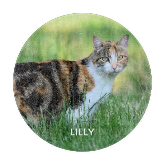 Bruine en witte kat snijplank (Voorkant)