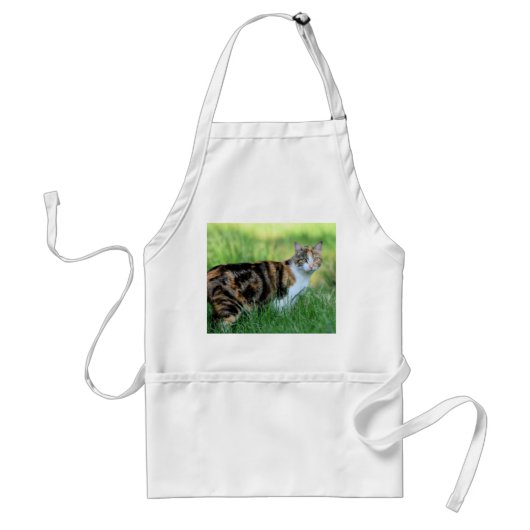 Bruine en witte kat standaard schort (Voorkant)
