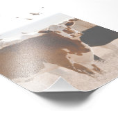 Bruine en witte Koe Fluttering Birds Country Foto Afdruk (Hoek)