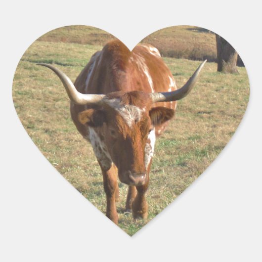 Bruine en witte Longhorn Bull Blue Sky Hart Sticker (Voorkant)