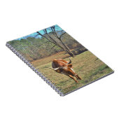 Bruine en witte Longhorn Bull Blue Sky Notitieboek (Rechterzijde)