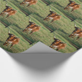 Bruine en witte Longhorn Bull Cadeaupapier (Hoek)