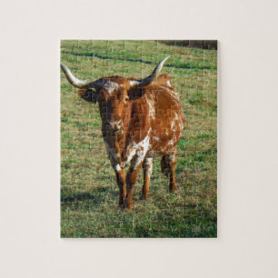 Bruine en witte Longhorn Bull Legpuzzel