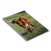 Bruine en witte Longhorn Bull Notitieboek (Rechterzijde)