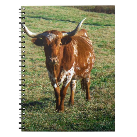 Bruine en witte Longhorn Bull Notitieboek (Voorkant)
