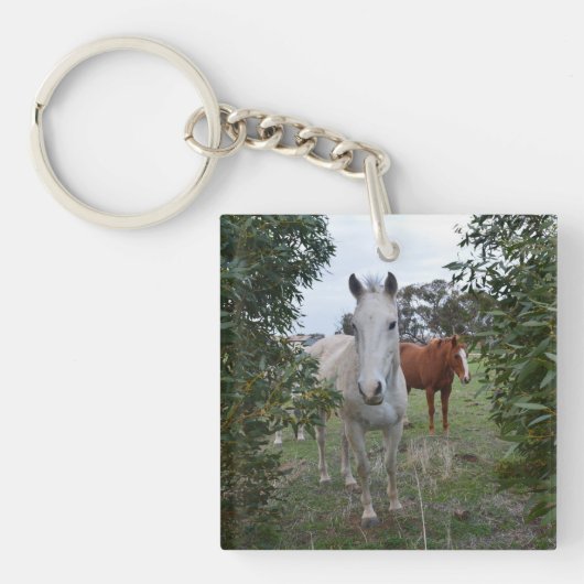 Bruine en witte Peekaboo paarden,- Sleutelhanger (voorkant)