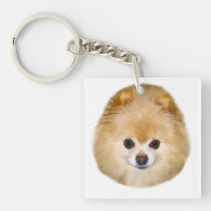 Bruine en witte pommeraanse hond sleutelhanger