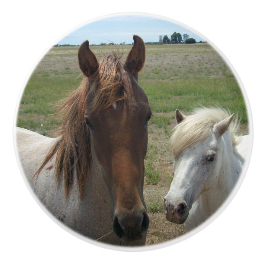 bruine en witte pony's, keramische knop (Voorkant)