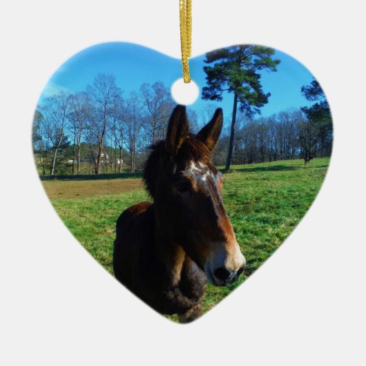 Bruine en witte snuit keramisch ornament (Voorkant)