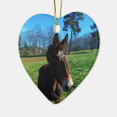 Bruine en witte snuit keramisch ornament (Links)