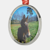 Bruine en witte snuit metalen ornament (Links)