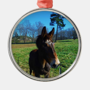 Bruine en witte snuit metalen ornament