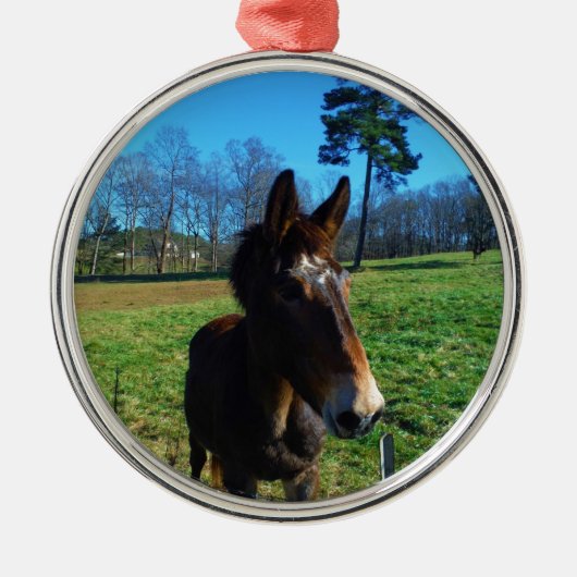 Bruine en witte snuit metalen ornament (Voorkant)