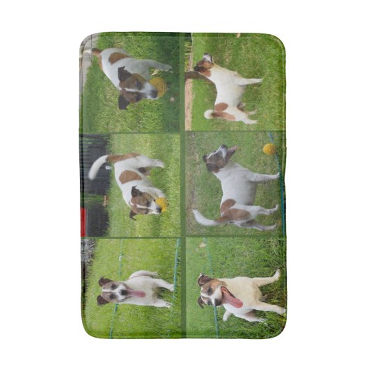 bruine en witte vos terrier Collarge, Badmat (Voorkant Verticaal)