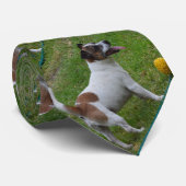 bruine en witte vosdrager met balkband, stropdas (Opgerold)