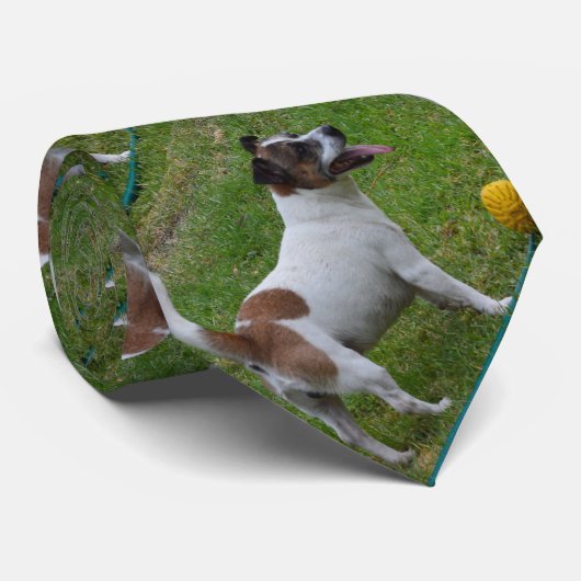 bruine en witte vosdrager met balkband, stropdas (Opgerold)