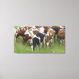 Bruine en zwarte melkkoeien gewikkeld canvas kunst