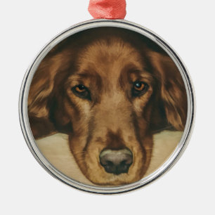 Bruine Eyed Golden Irish Dog Metalen Ornament